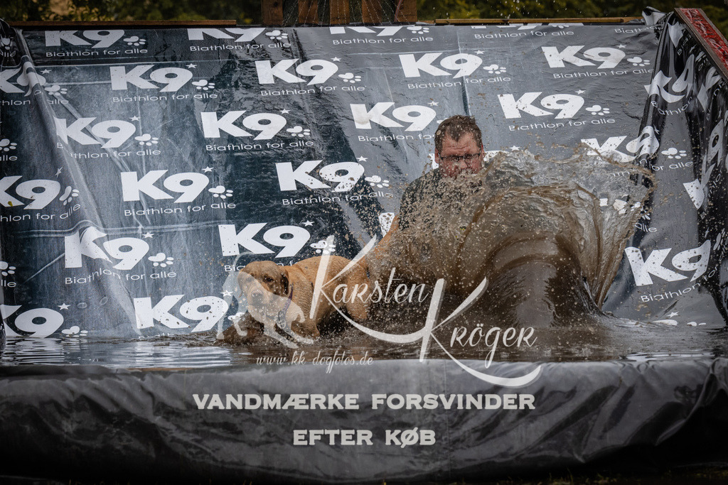 1113_ZZ92273 | kk-dogfotos