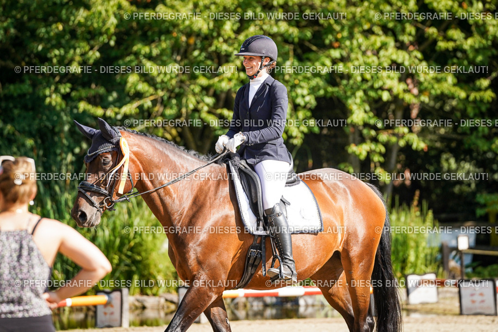 DSC00269 | Pferdegrafie