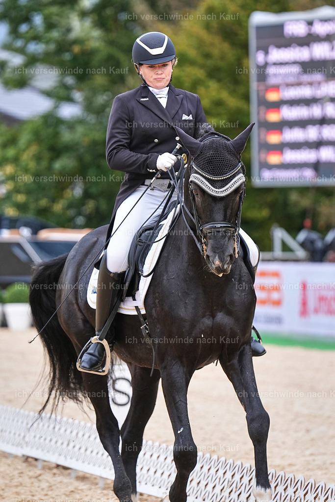 07-093-DRESSUR  S___  -Marixx-5143 | working equitationturnier fotograf videograf stoibphotography marixx film working equitation deutschland reitsport turnierfotografie eventfotografie equestrian events