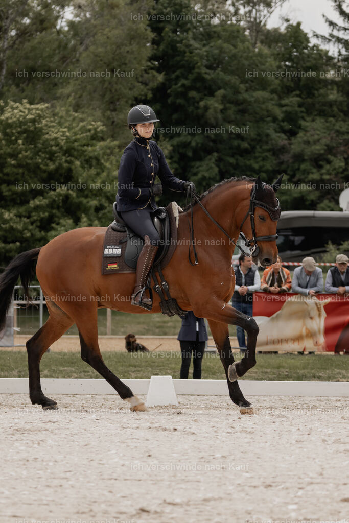 WE_DR_Stoib_335_PI2025_398 | Pferd International München 2025