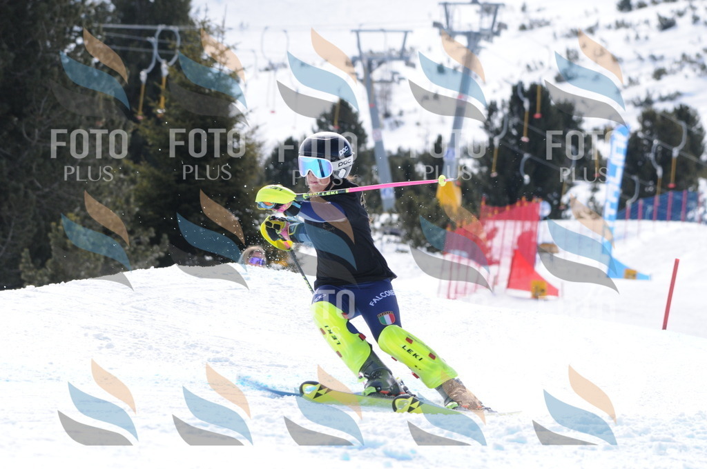 C9920 | holidayphoto