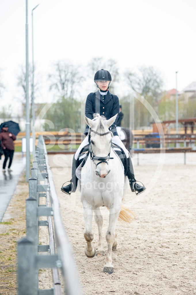 DSC_5310 | sattelsport - Realisiert mit Pictrs.com