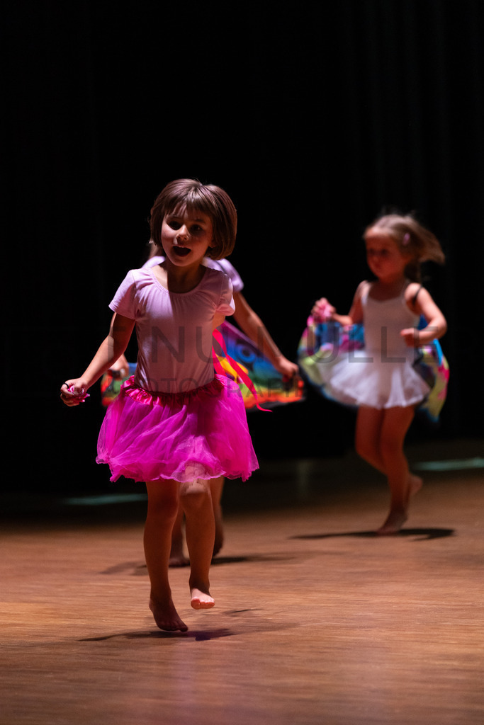 DSC08449 | Tinu Müller Fotografie- Bildershop - Realisiert mit Pictrs.com