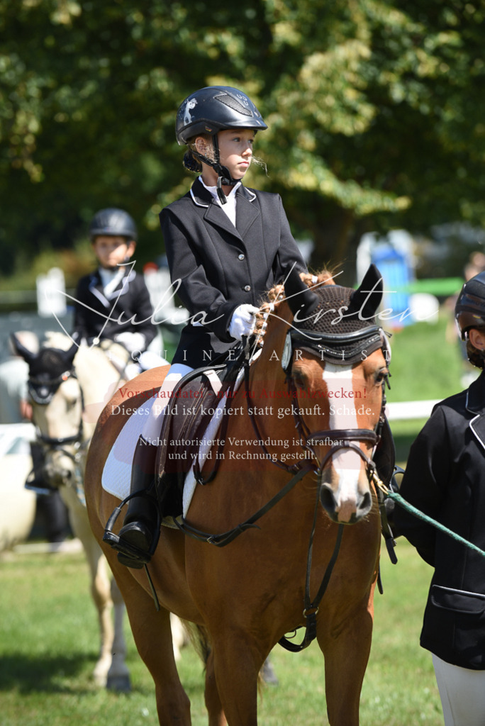 DSC_9663 | Pferde- und Turnierfotografie in Westsachsen. Pferdeportraits, Auftragszeichnungen und intuitive Kunst.