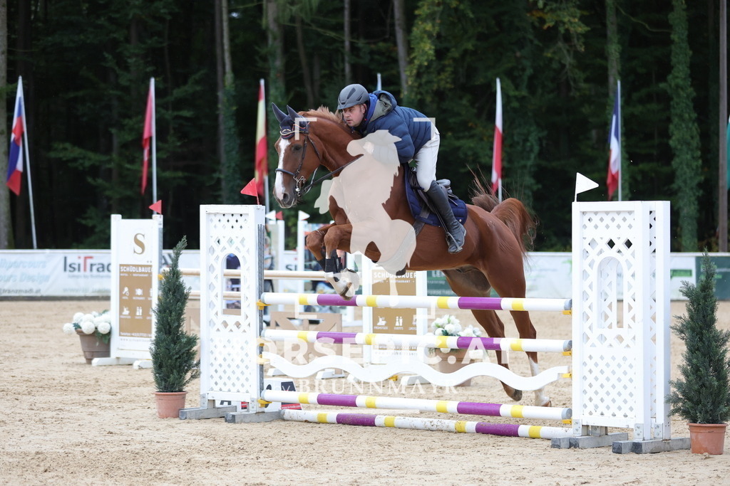 0P6A7113 | Willkommen bei Brunnmayr - Design & Fotografie – Ihrem Spezialisten für Reitturniere und Pferdeveranstaltungen in Oberösterreich, Salzburg und Bayern! Seit über 17 Jahren sind wir leidenschaftlich dabei.