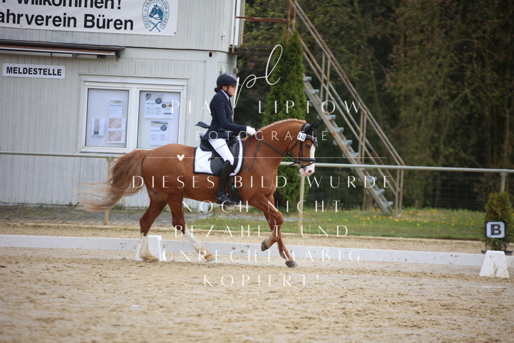 IMGT4048 | pl-fotografie