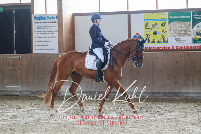 DKP44495 | Turniersportfotografie; Pferdefotografie; Dressurfotografie