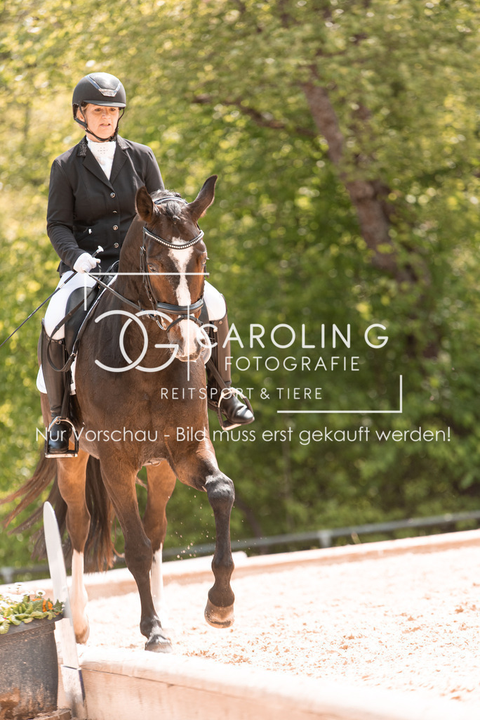 DSC_0424 | Turnierfotografin Carolin Gieschke, Turnierfotografie Carolin G Fotografie, Turnierfotos Kirchheim/Teck, Esslingen, Stuttgart, Bodenseekreis