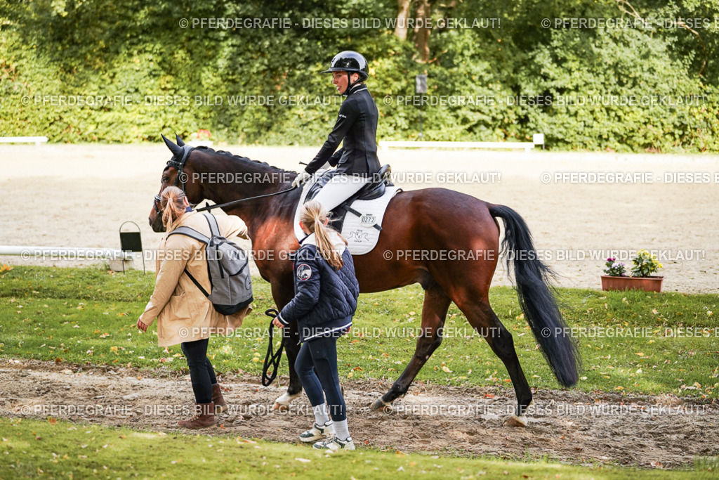 DSC09479 | Pferdegrafie