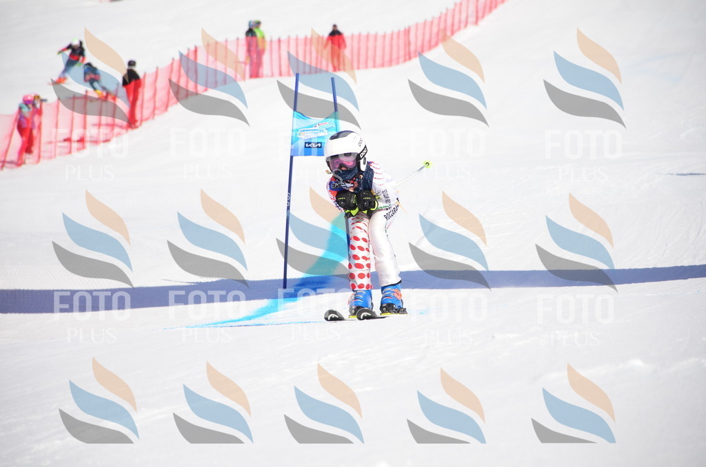 VR4_9046 | holidayphoto