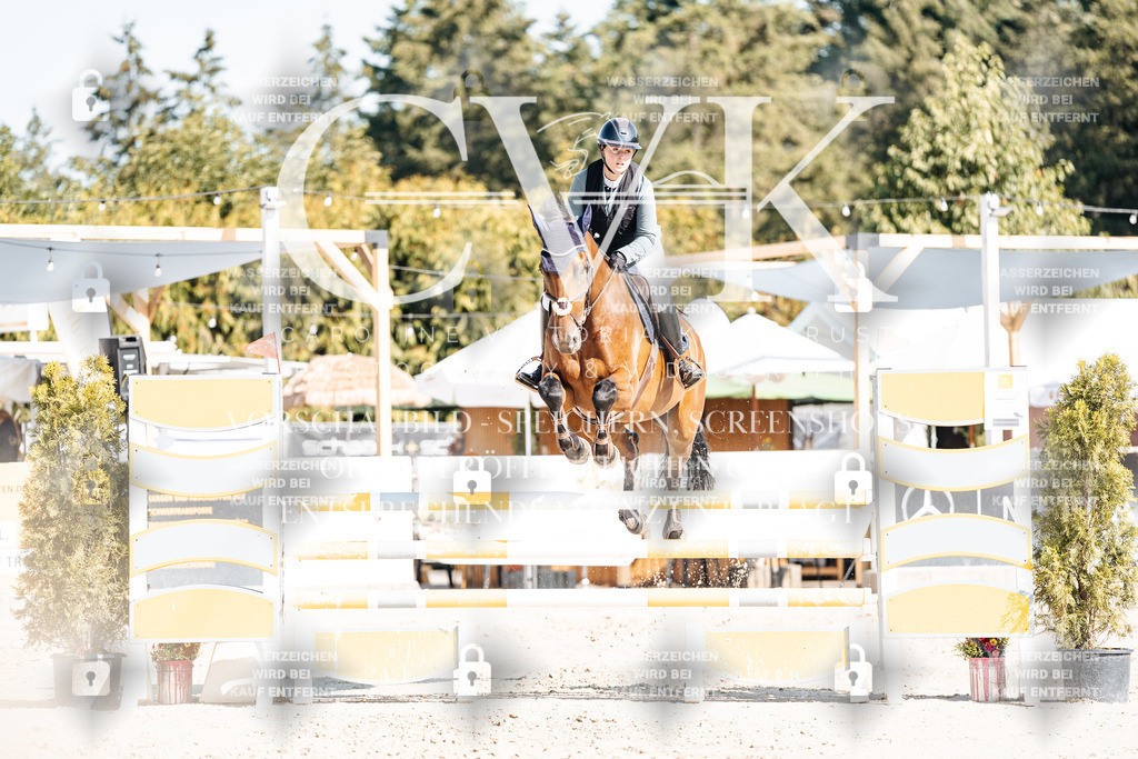 CK902329 | Turnierfotografie Pferdefotografie Trier Rheinland-Pfalz Pferdesport Reitsport Tierfotografie Sportfotografie Pferdevideo Pferdevideografie Equestrianvideography equestrianphotography  - Realisiert mit Pictrs.com