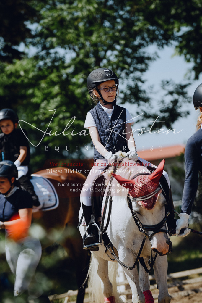 DSC_2513 | Pferde- und Turnierfotografie in Westsachsen. Pferdeportraits, Auftragszeichnungen und intuitive Kunst.
