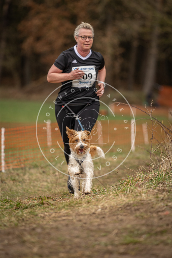 DV3A3029 | Hundefotografie, Tierfotograf, Pfotenfotografie, Fotoshooting Hund, Hunde Portrait, Hundesport, Hundeportraits, Heideshooting, Hunde, Sportfotograf, Hundefotograf, Turnierhundsport, THS,  - Realisiert mit Pictrs.com