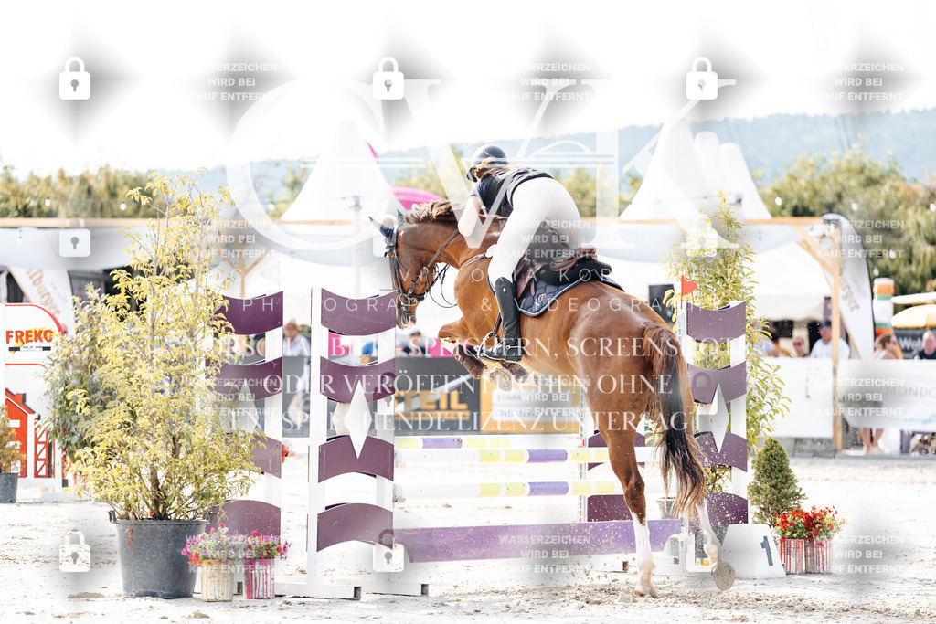 CK905693 | Turnierfotografie Pferdefotografie Trier Rheinland-Pfalz Pferdesport Reitsport Tierfotografie Sportfotografie Pferdevideo Pferdevideografie Equestrianvideography equestrianphotography  - Realisiert mit Pictrs.com