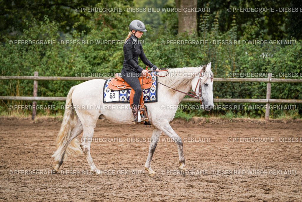 DSC05115 | Pferdegrafie