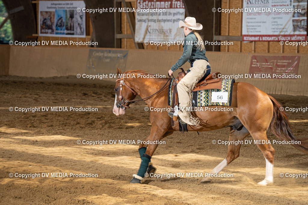 DSC00059 | dv-media-shop - Realisiert mit Pictrs.com