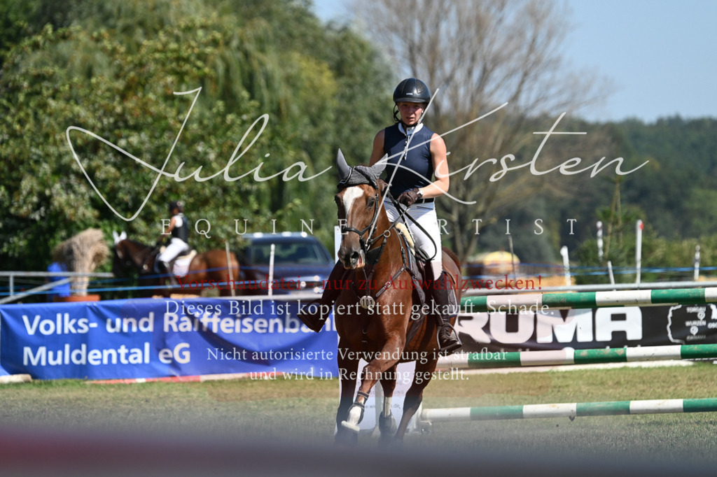 DSC_6453 | Pferde- und Turnierfotografie in Westsachsen. Pferdeportraits, Auftragszeichnungen und intuitive Kunst.
