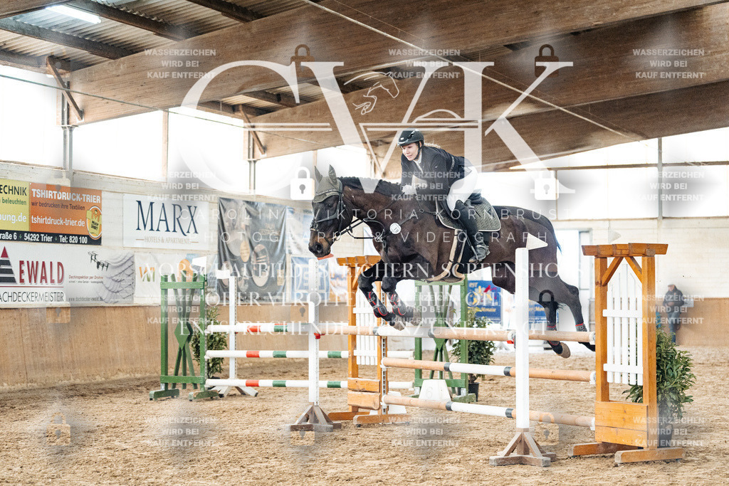 CK906211 | Turnierfotografie Pferdefotografie Trier Rheinland-Pfalz Pferdesport Reitsport Tierfotografie Sportfotografie Pferdevideo Pferdevideografie Equestrianvideography equestrianphotography  - Realisiert mit Pictrs.com