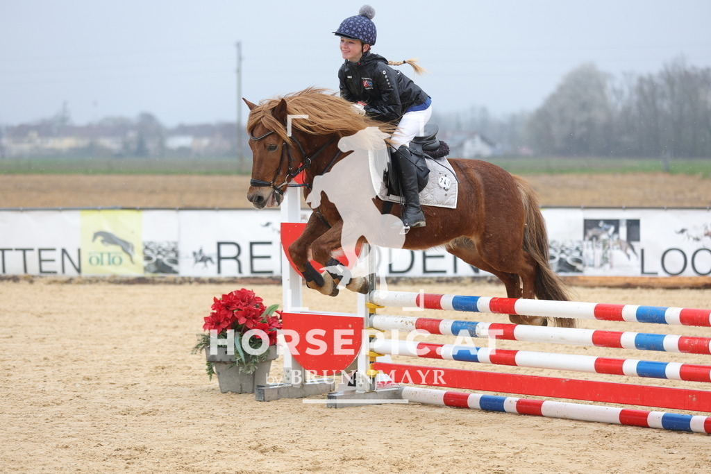 0P6A7264 | Willkommen bei Brunnmayr - Design & Fotografie – Ihrem Spezialisten für Reitturniere und Pferdeveranstaltungen in Oberösterreich, Salzburg und Bayern! Seit über 17 Jahren sind wir leidenschaftlich dabei.