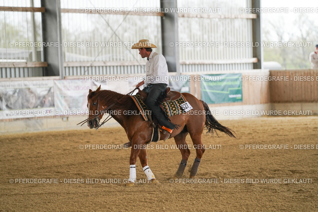 DSC07585 | Pferdegrafie