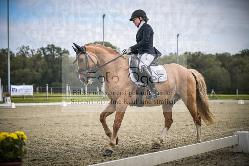 DOS_B527 | Entdecke hochwertige Reitturnierfotos von Foto Oger. Professionell, emotional und authentisch – jetzt Lieblingsmomente im Shop bestellen.Deutschlandweite Turnierfotografie. - Realisiert mit Pictrs.com