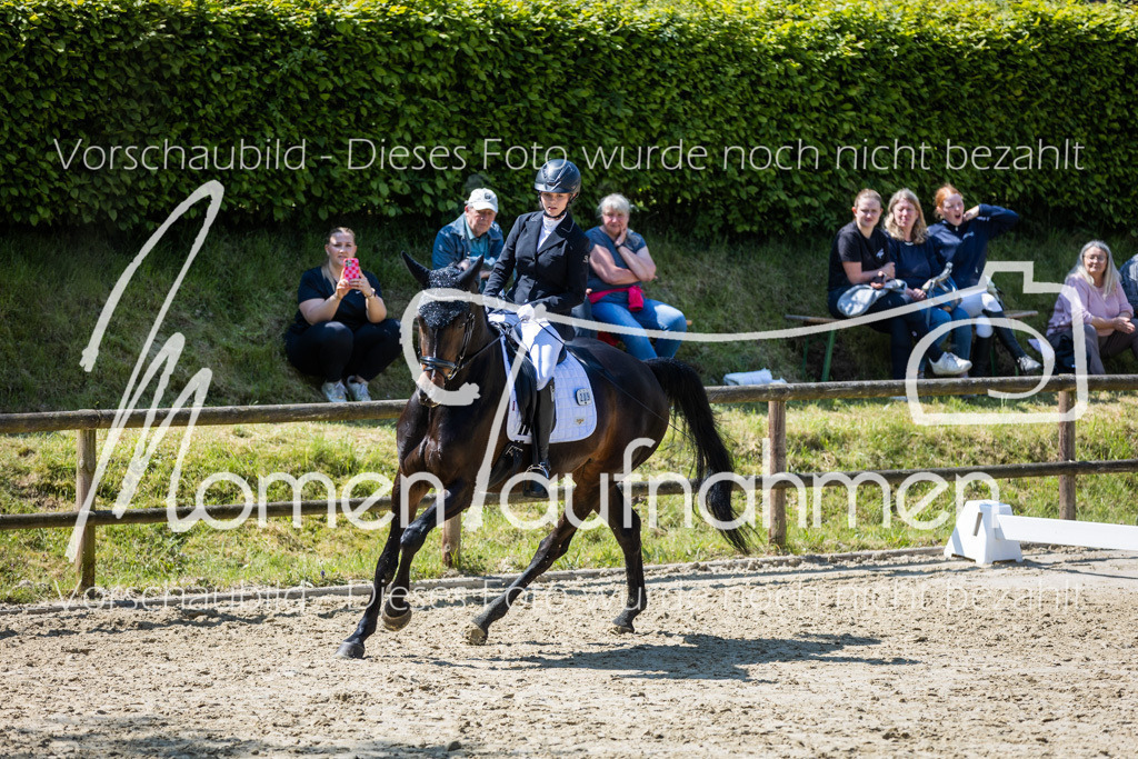 Donop24-L-Dre-093 | MomenTaufnahmen Pferdesportfotos