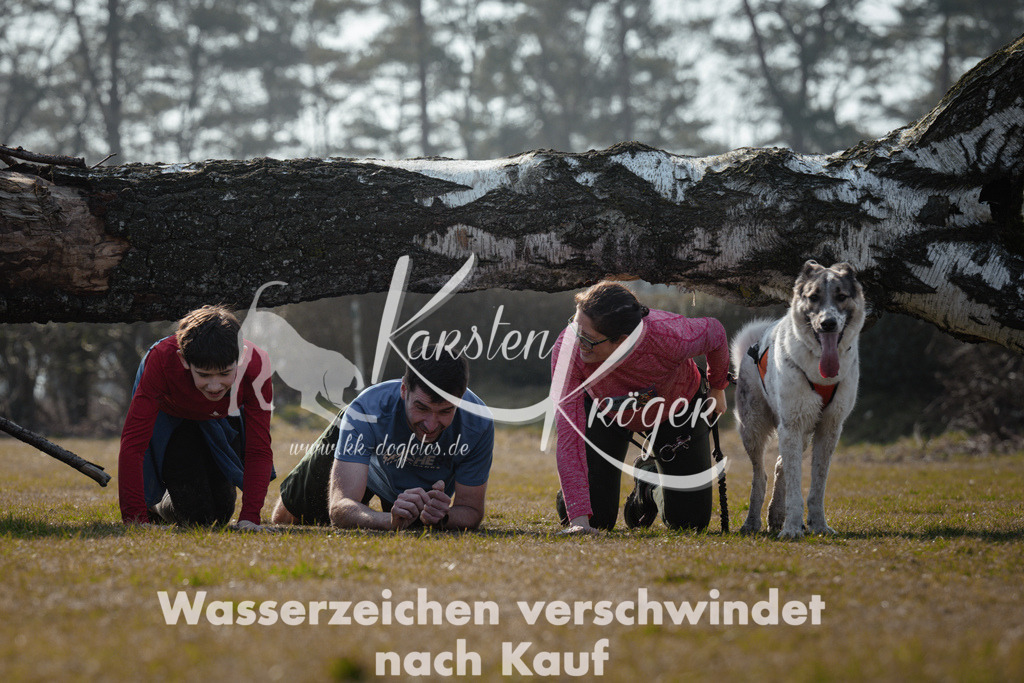 1137_ZZ95430 | kk-dogfotos