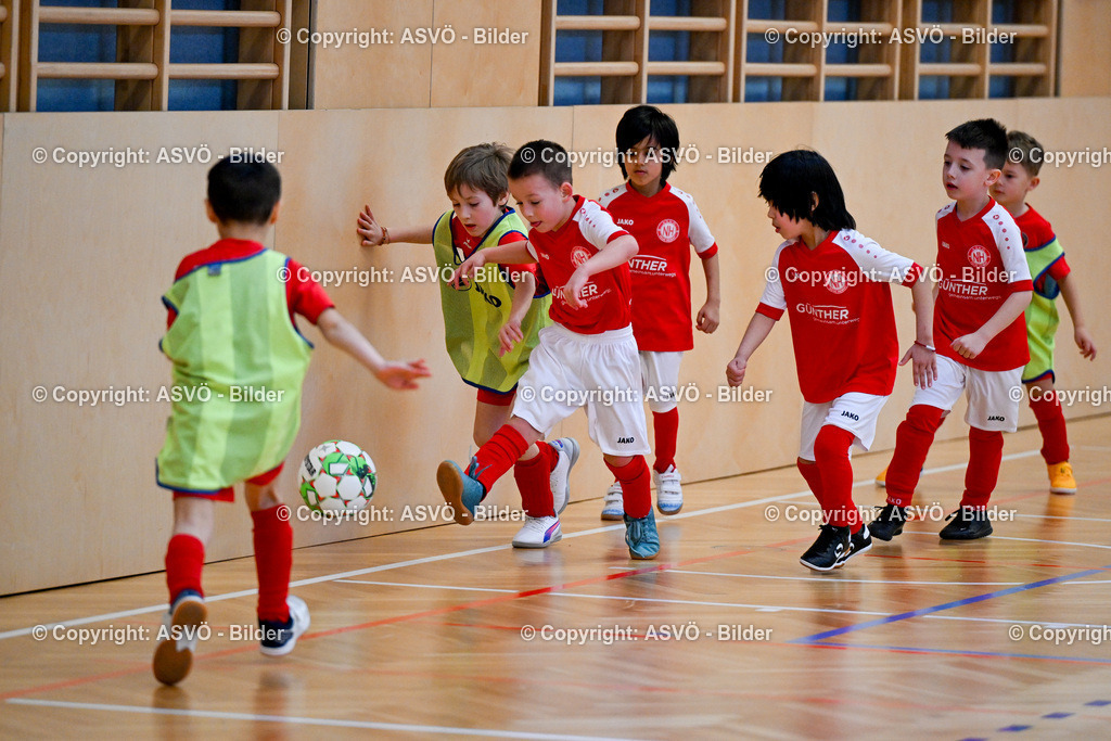ASVÖ_ Fussballturnier SV Gallneukirchen_ 08.02.2025-47 | 08.02.2025, Gallneukirchen, AUT, ASVÖ, Fussball Nachwuchs Hallenturnier 2025, SV Gallneukirchen im Bild Teilnehmer U 7©Harald Dostal / fodo.media - Realisiert mit Pictrs.com