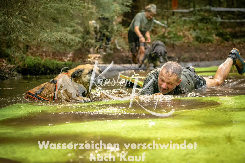 1409_ZZ91191-Bearbeitet | kk-dogfotos
