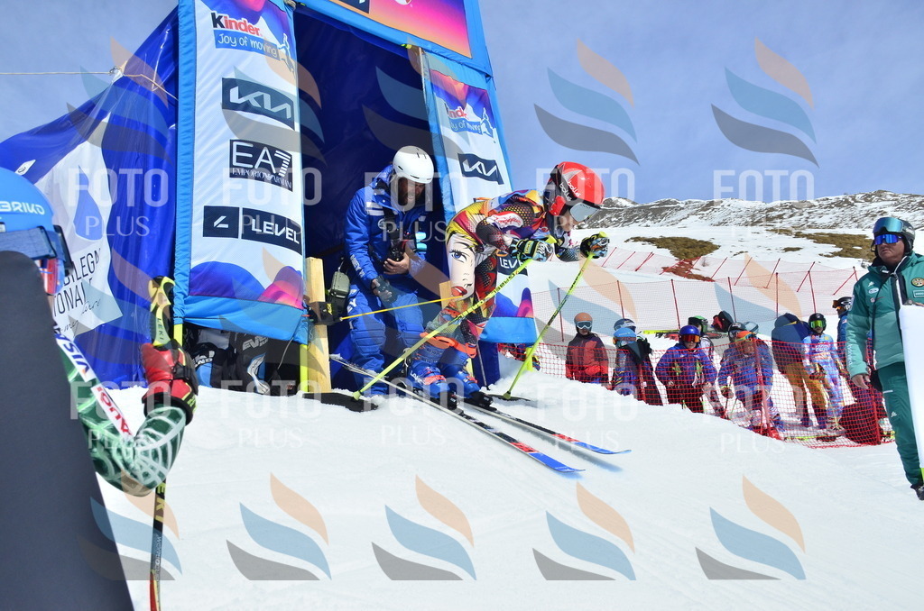 _ELE1456 | holidayphoto