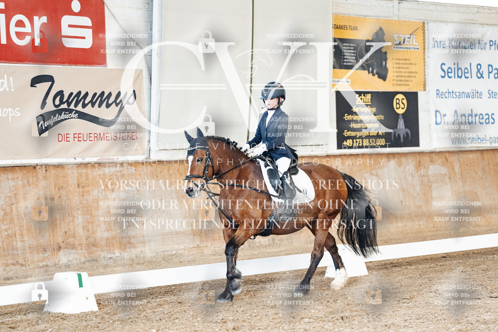 CK900505 | Turnierfotografie Pferdefotografie Trier Rheinland-Pfalz Pferdesport Reitsport Tierfotografie Sportfotografie Pferdevideo Pferdevideografie Equestrianvideography equestrianphotography  - Realized with Pictrs.com