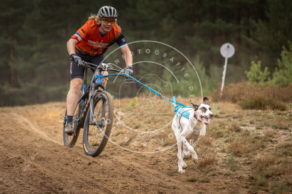 Pfotenfotografie_DV3A3652 | Hundefotografie, Tierfotograf, Pfotenfotografie, Fotoshooting Hund, Hunde Portrait, Hundesport, Hundeportraits, Heideshooting, Hunde, Sportfotograf, Hundefotograf, Turnierhundsport, THS,  - Realisiert mit Pictrs.com