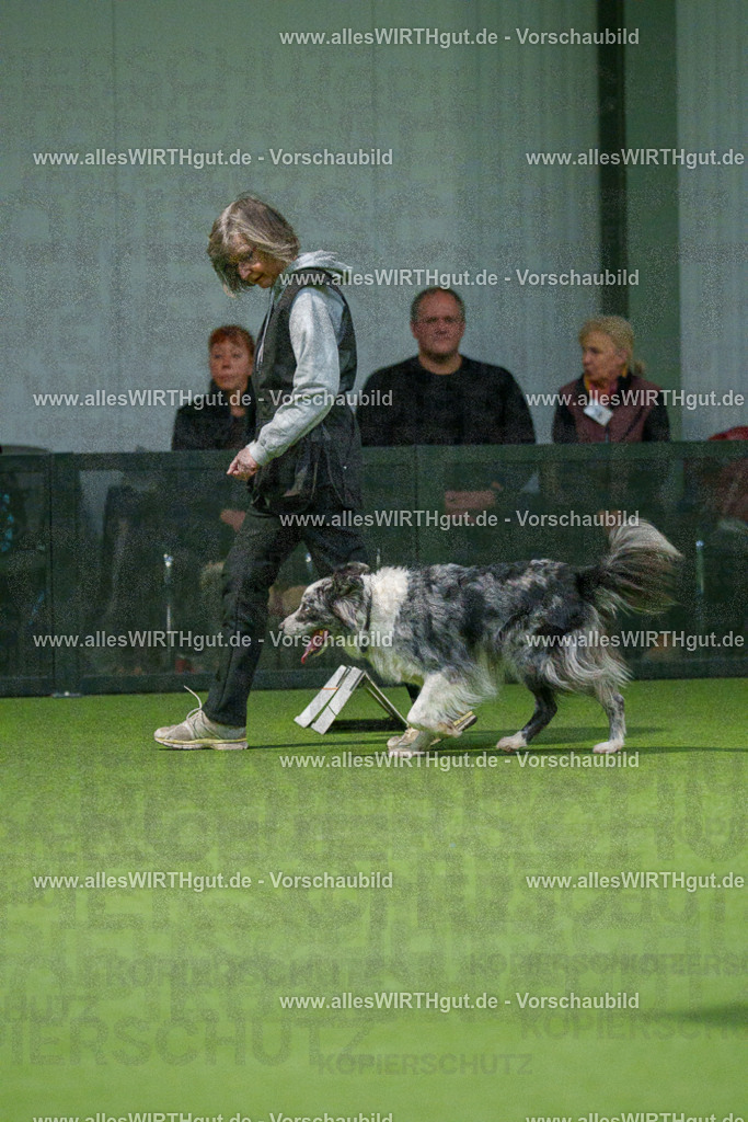 7R504449 | Professionelle Tierfotografie in Mönchengladbach von Daniel Wirth (allesWIRTHgut). Liebevolle & natürliche Bilder von Hunden & Katzen für unvergessliche Erinnerungen.