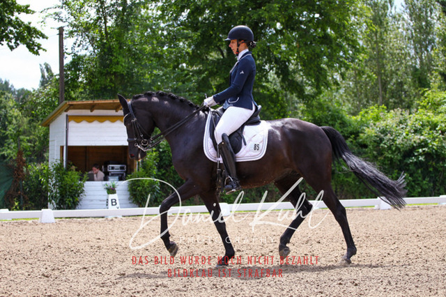DKP41055 | Turnierfotos kaufen im Webshop von Daniel Kuhl Photography – entdecke professionelle Reitsportfotos aus Turnieren & Events. Hochwertige Turnierbilder online bestellen & sichern. Jetzt Fotos von Reitsportturnieren kaufen!