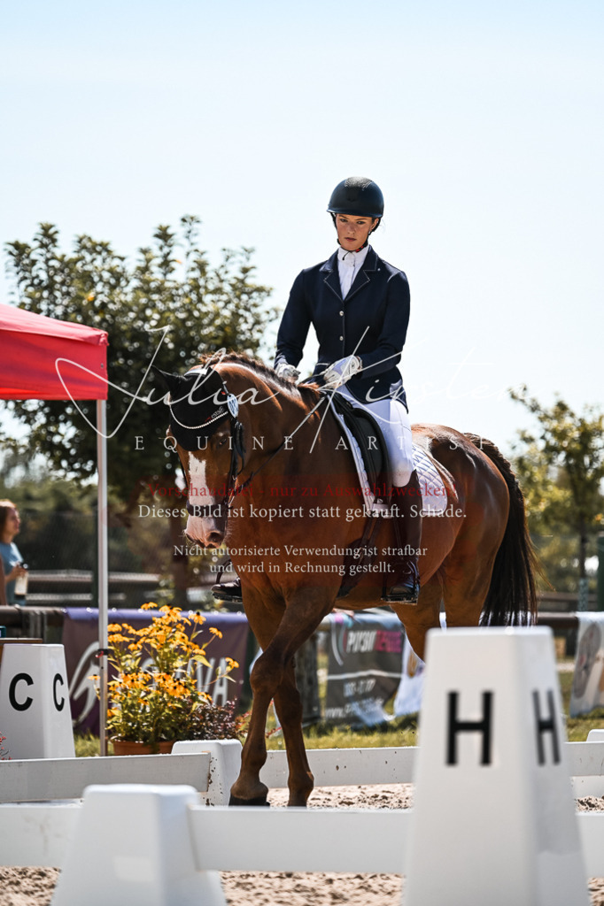 DSC_5528 | Pferde- und Turnierfotografie in Westsachsen. Pferdeportraits, Auftragszeichnungen und intuitive Kunst.