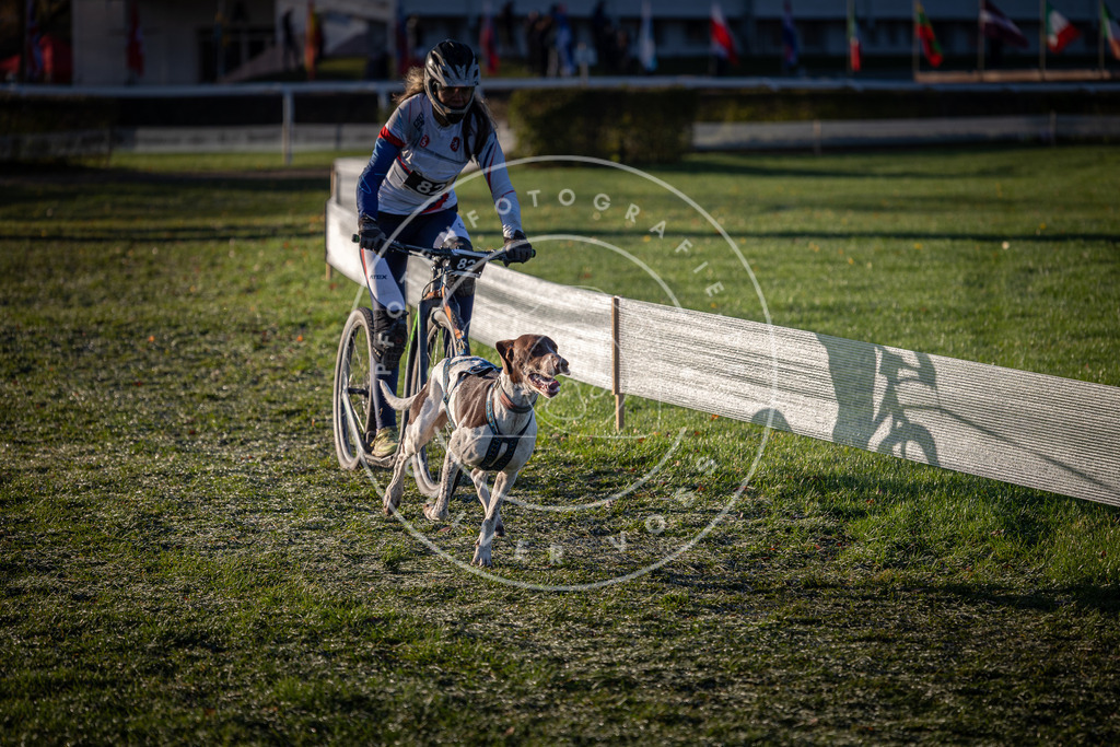 CaniXpix_0L8A3419 | Hundefotografie, Tierfotograf, Pfotenfotografie, Fotoshooting Hund, Hunde Portrait, Hundesport, Hundeportraits, Heideshooting, Hunde, Sportfotograf, Hundefotograf, Turnierhundsport, THS,  - Realisiert mit Pictrs.com