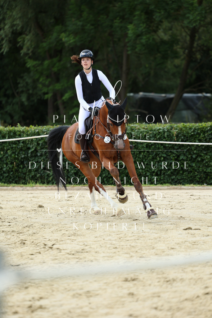 IMGM4910 | pl-fotografie