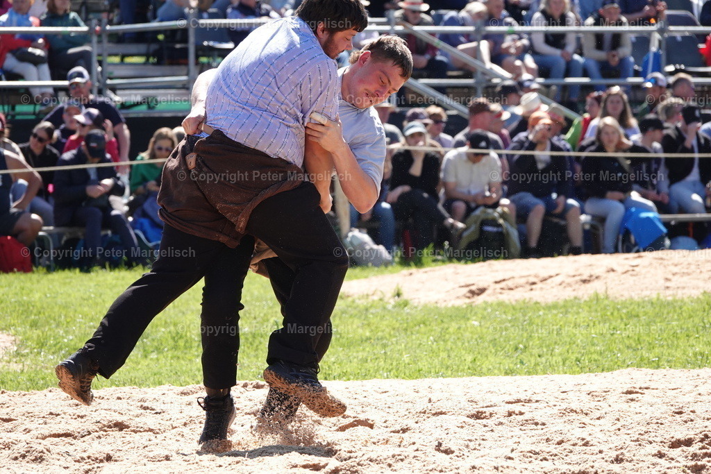 DSC00950 | Schwingen - Realisiert mit Pictrs.com