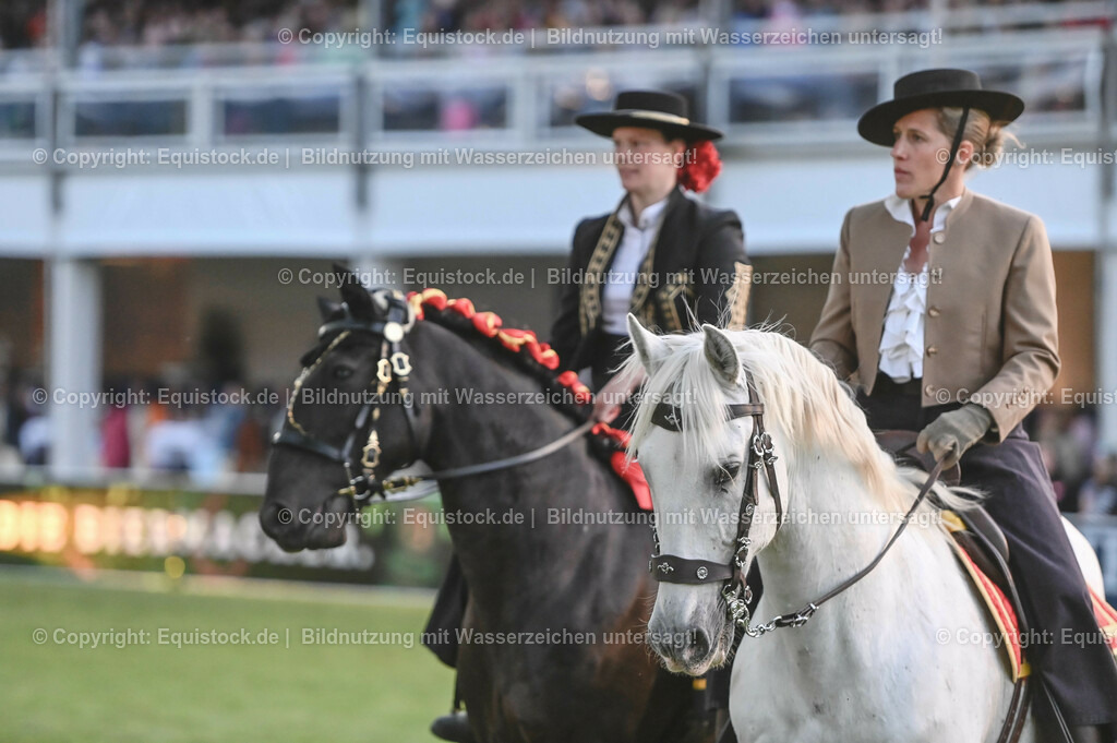 20230526_Pferdenacht_0792 | equistock
