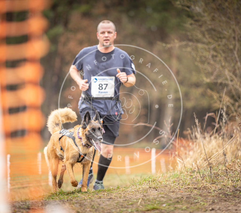 DV3A0365 | Hundefotografie, Tierfotograf, Pfotenfotografie, Fotoshooting Hund, Hunde Portrait, Hundesport, Hundeportraits, Heideshooting, Hunde, Sportfotograf, Hundefotograf, Turnierhundsport, THS,  - Realisiert mit Pictrs.com