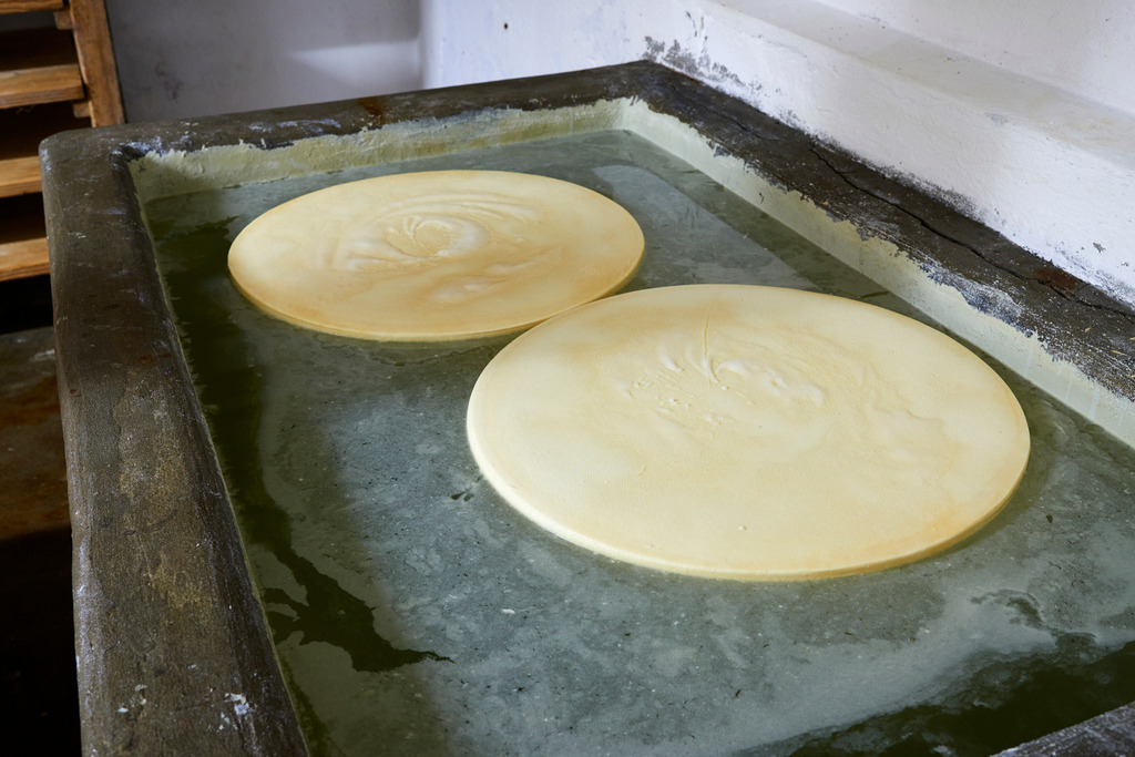 Zwei Käselaibe in der Salzlake | Laterns, Austria - July 28, 2017: Zwei Käselaibe in der Salzlake. - Realisiert mit Pictrs.com