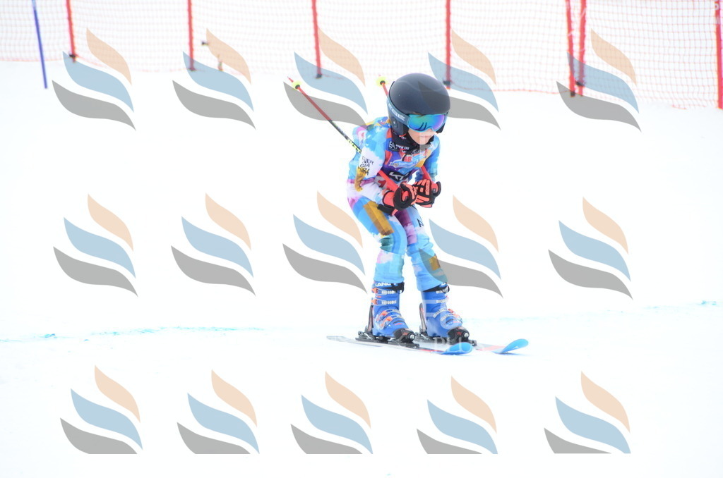 DSC_1618 | holidayphoto