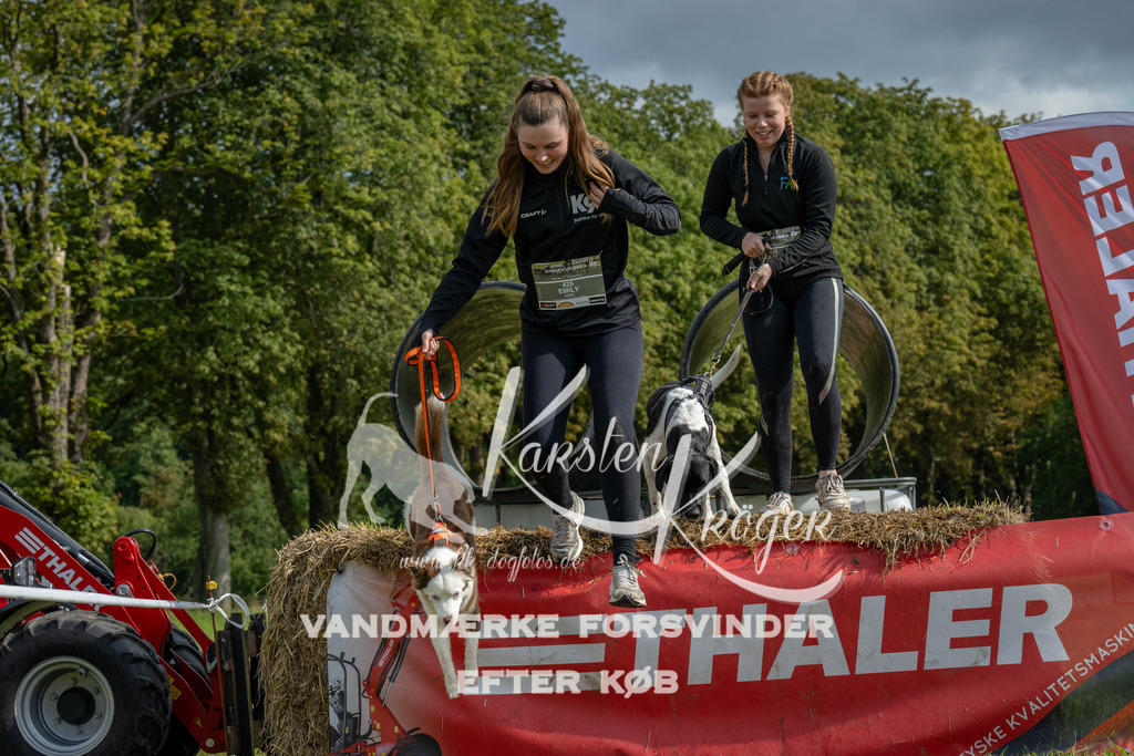 1134_ZZ94749 | kk-dogfotos