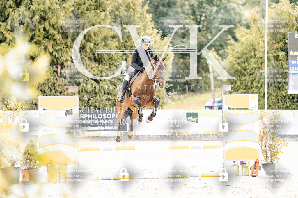 CK908953 | Turnierfotografie Pferdefotografie Trier Rheinland-Pfalz Pferdesport Reitsport Tierfotografie Sportfotografie Pferdevideo Pferdevideografie Equestrianvideography equestrianphotography  - Realisiert mit Pictrs.com