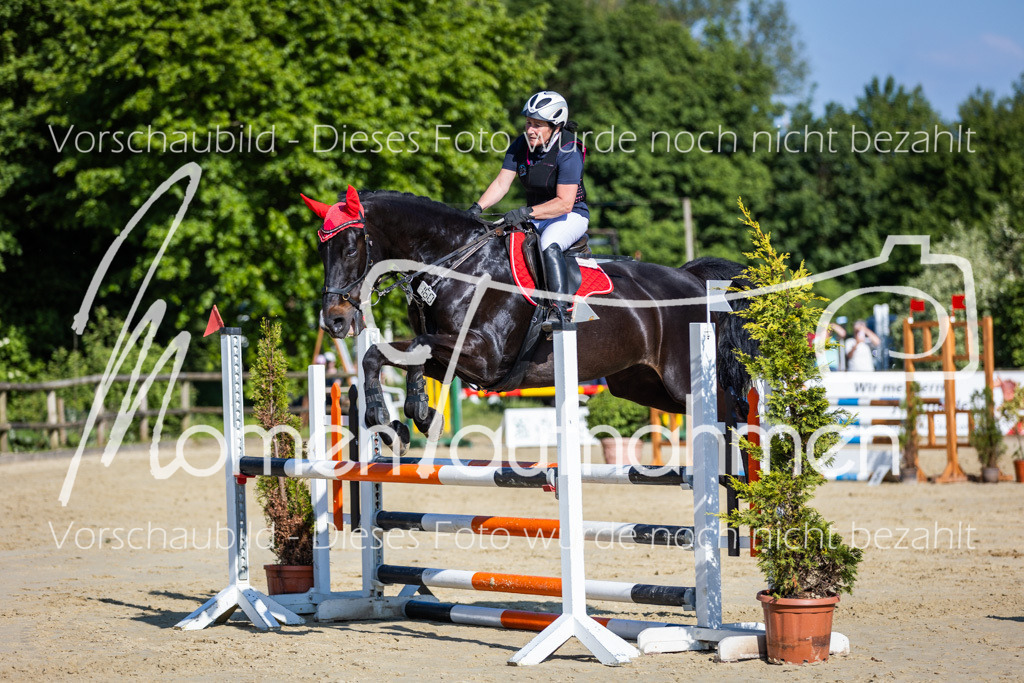 Donop24-ASpr-077 | MomenTaufnahmen Pferdesportfotos