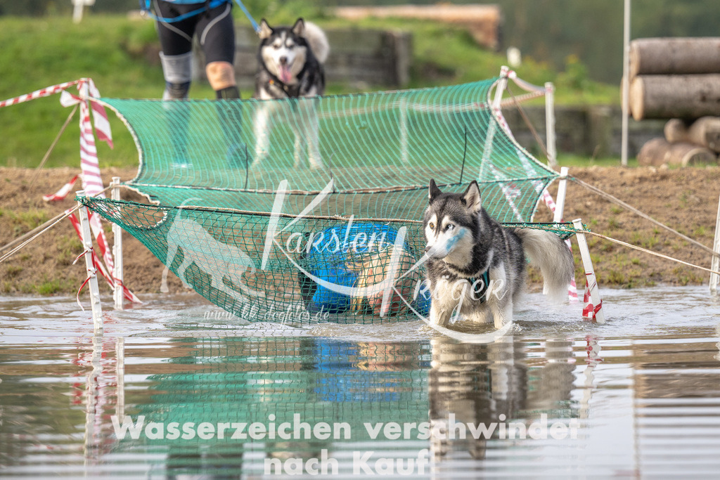 0928_ZZ94997 | kk-dogfotos
