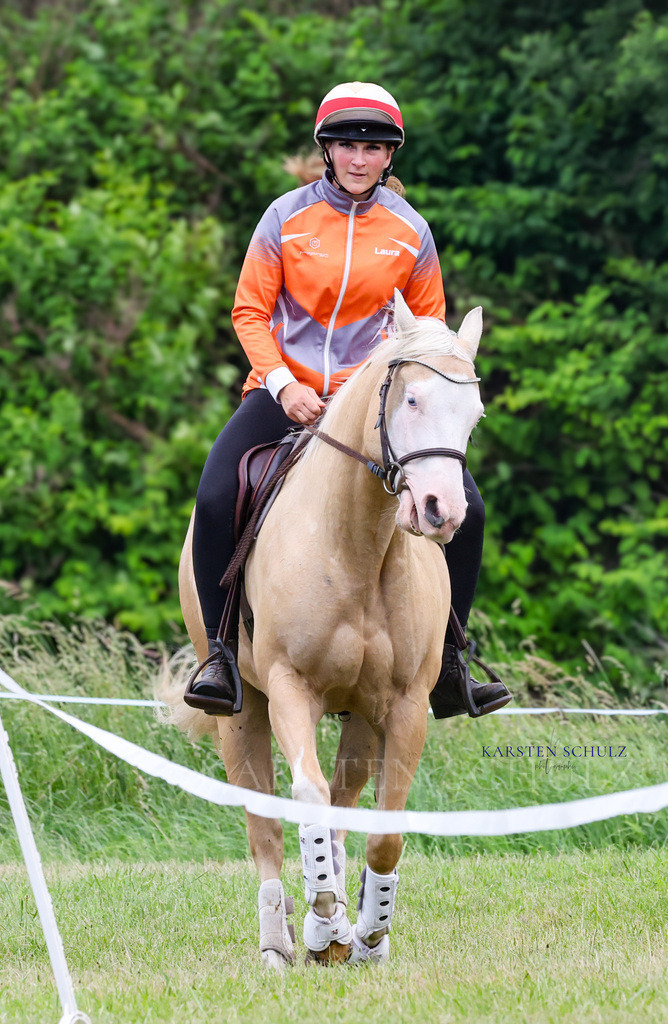 1B3A2940 | Reitsport Reiten
