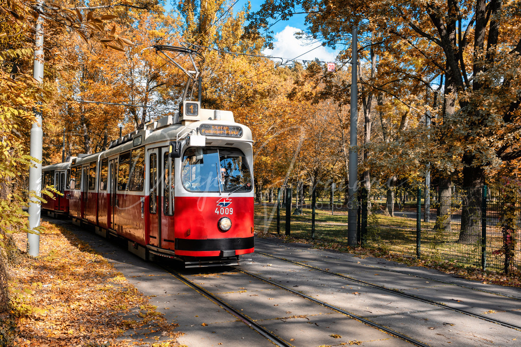 DSC06541 | Professioneller Fotograf - Bildbestellung online - Wandbilder vom Profi für ihr Zuhause, Büro, Praxis, Firma - große Auswahl an Materialien und Formaten, über 1400 regionale Motive
