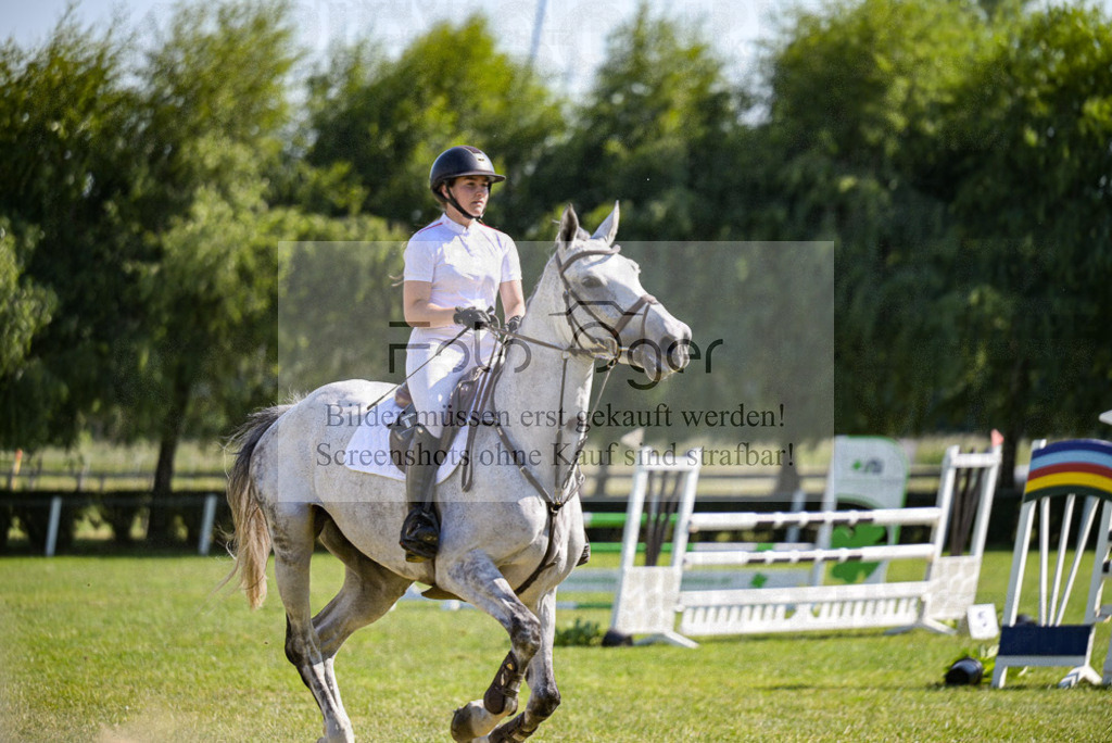 Reitturnier Voxtrup | Entdecke hochwertige Reitturnierfotos von Foto Oger. Professionell, emotional und authentisch – jetzt Lieblingsmomente im Shop bestellen.Deutschlandweite Turnierfotografie. - Realisiert mit Pictrs.com