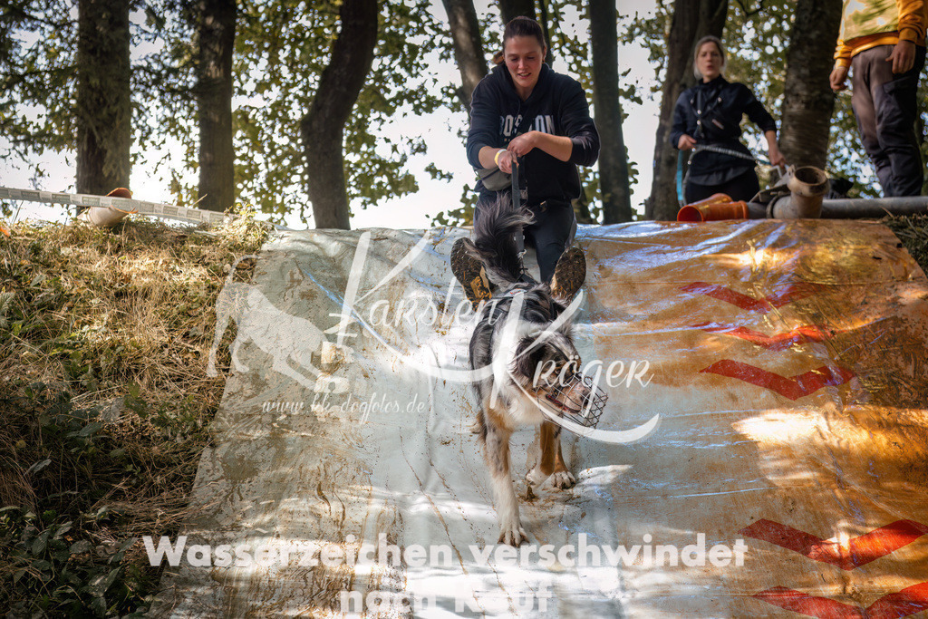1350_ZZ92884 | kk-dogfotos